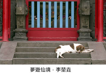 夢遊仙境 -方土